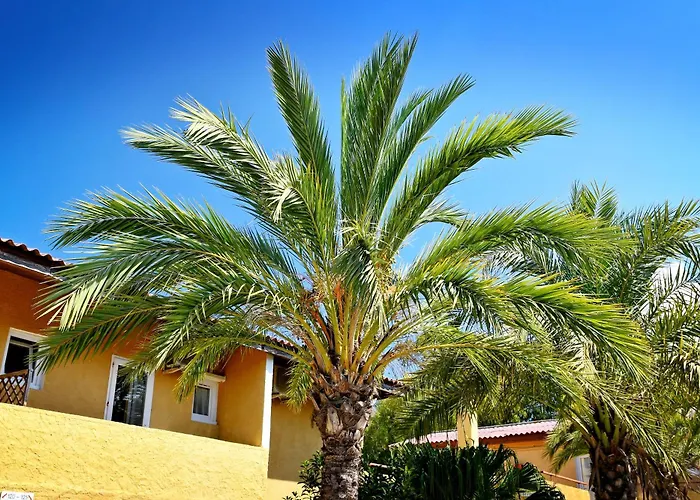 Résidence Les Castors Calvi (Corsica)