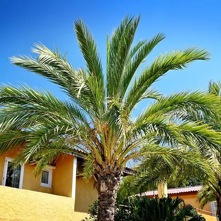 Les Castors Кальви